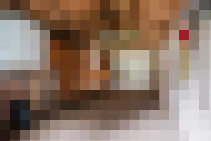 Nassaulaan 13 Ermelo thumbnail 68