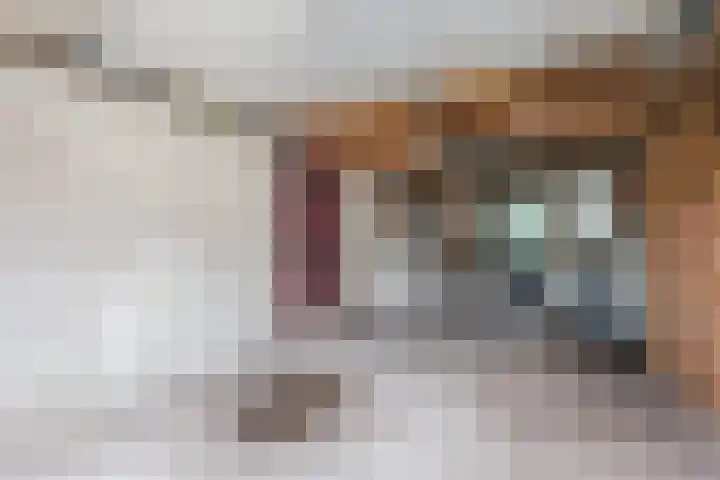 Nassaulaan 13 Ermelo thumbnail 69