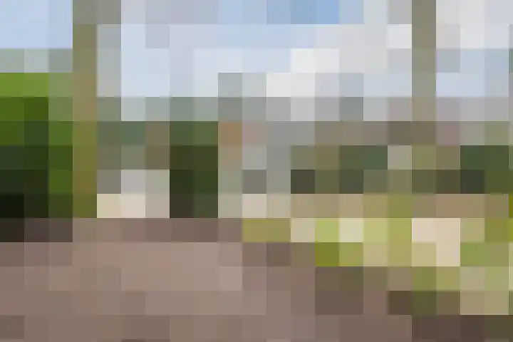 Nassaulaan 13 Ermelo thumbnail 72