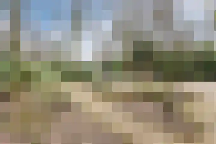 Nassaulaan 13 Ermelo thumbnail 73