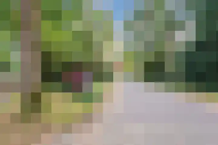 Nassaulaan 13 Ermelo thumbnail 75