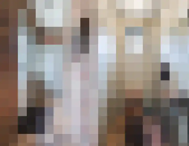 Nassaulaan 13 Ermelo thumbnail 8