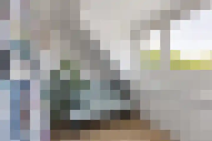Nassaulaan 13 Zoeterwoude thumbnail 18