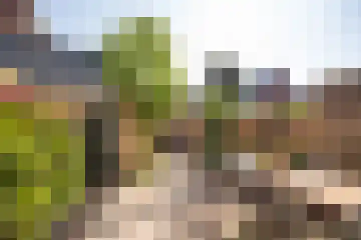 Nassaulaan 13 Zoeterwoude thumbnail 19