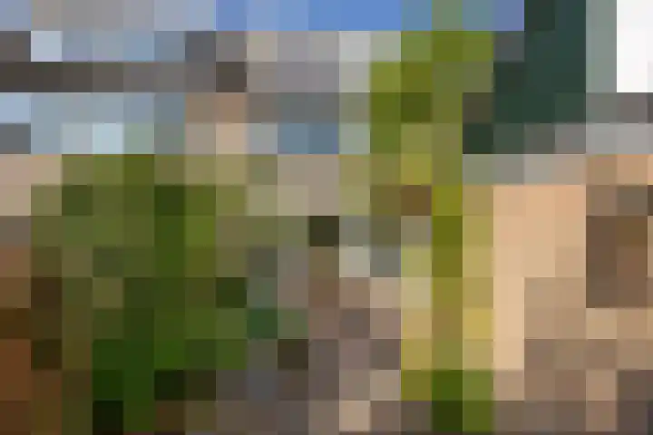 Nassaulaan 13 Zoeterwoude thumbnail 20
