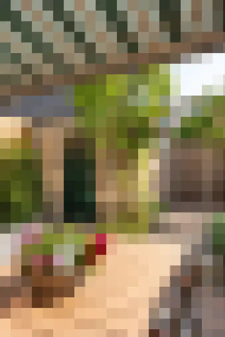 Nassaulaan 13 Zoeterwoude thumbnail 21