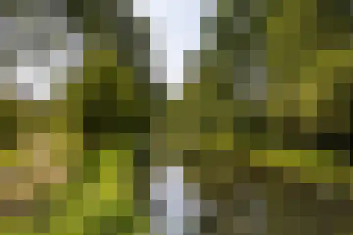 Nassaulaan 13 Zoeterwoude thumbnail 24