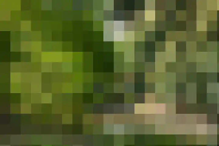 Nassaulaan 13 Zoeterwoude thumbnail 25