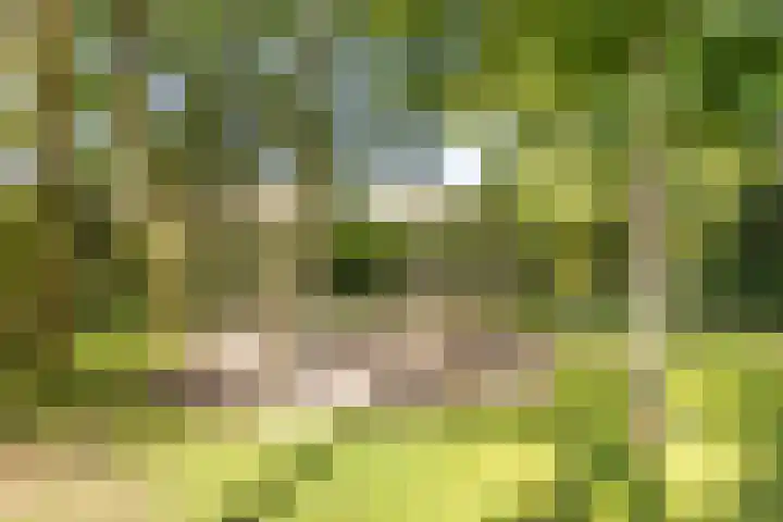 Nassaulaan 13 Zoeterwoude thumbnail 26