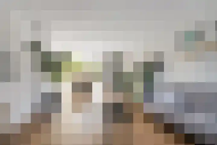 Nassaulaan 13 Zoeterwoude thumbnail 4