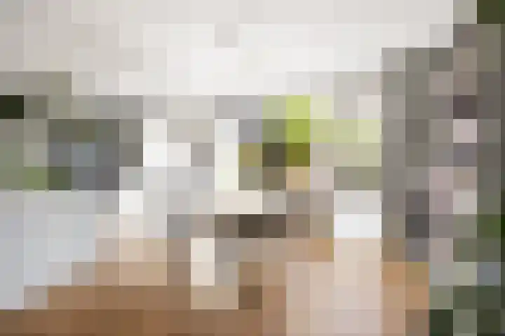 Nassaulaan 13 Zoeterwoude thumbnail 6