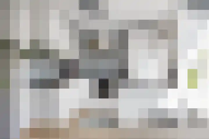 Nassaulaan 13 Zoeterwoude thumbnail 7