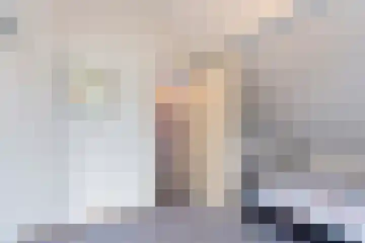 Nassaulaan 14 Schiedam thumbnail 11