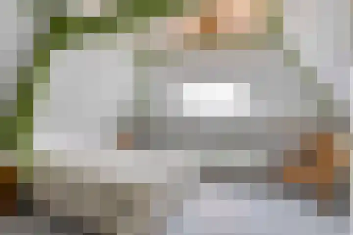 Nassaulaan 14 Schiedam thumbnail 12