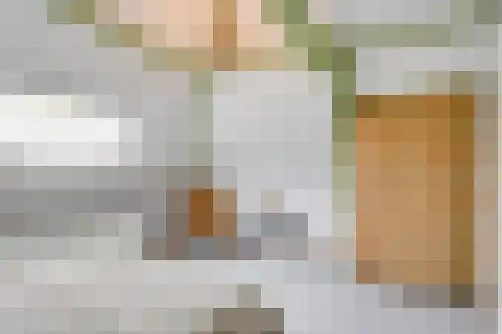 Nassaulaan 14 Schiedam thumbnail 13