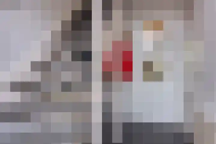 Nassaulaan 14 Schiedam thumbnail 17