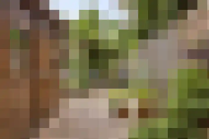 Nassaulaan 14 Schiedam thumbnail 24