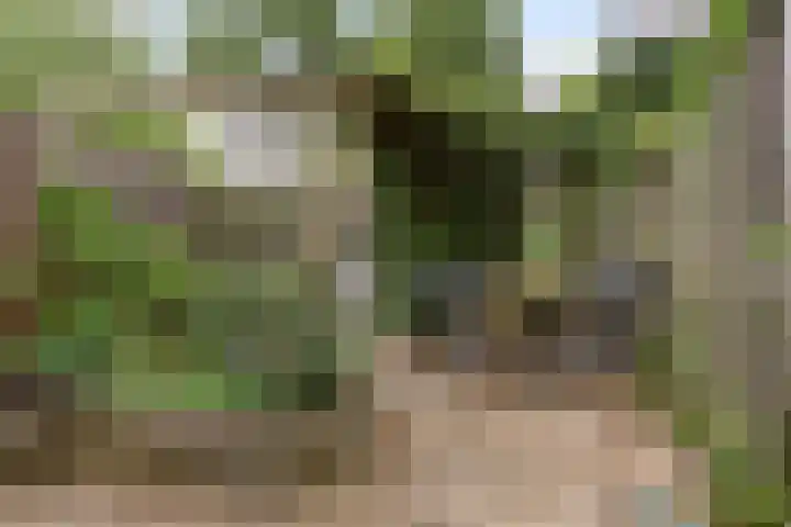 Nassaulaan 14 Schiedam thumbnail 25