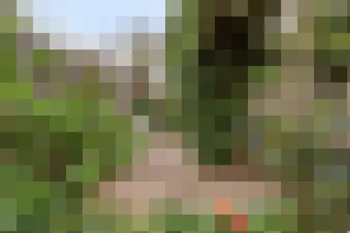 Nassaulaan 14 Schiedam thumbnail 26
