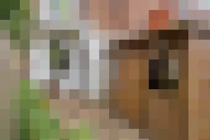 Nassaulaan 14 Schiedam thumbnail 27