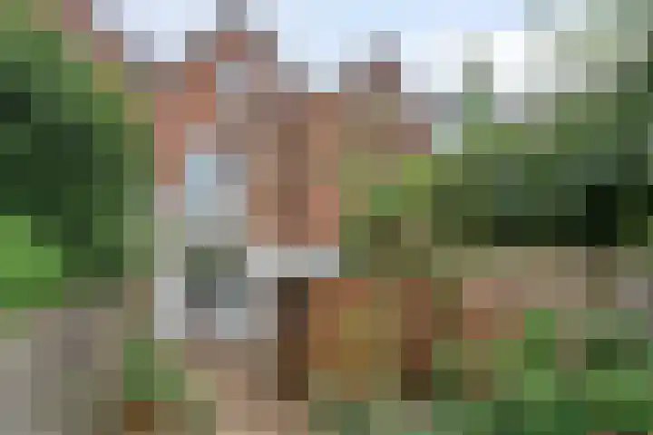 Nassaulaan 14 Schiedam thumbnail 28