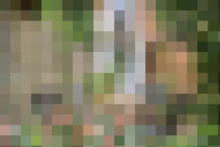 Nassaulaan 14 Schiedam thumbnail 29