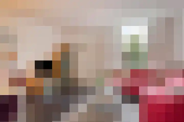 Nassaulaan 14 Schiedam thumbnail 7