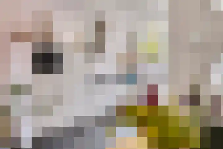 Nassaulaan 14 Schiedam thumbnail 8