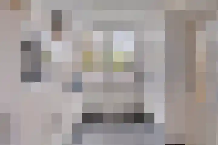 Nassaulaan 14 Schiedam thumbnail 9