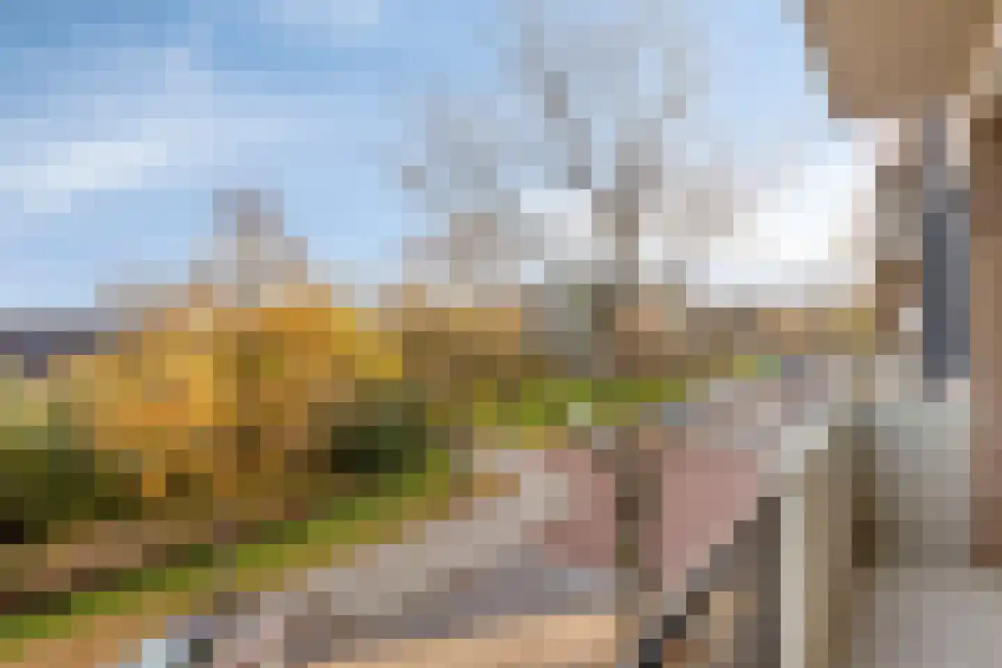 Nassaulaan 143 Middelburg thumbnail 8