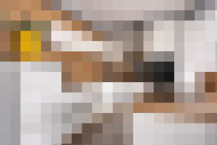 Nassaulaan 15 Emmen thumbnail 12