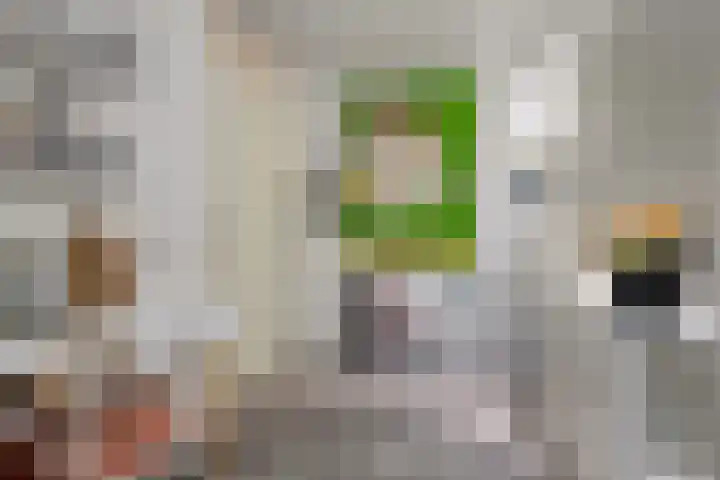 Nassaulaan 15 Emmen thumbnail 22