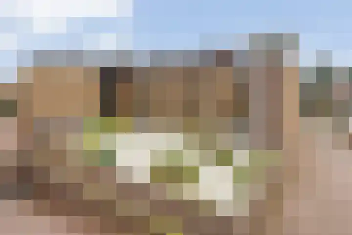 Nassaulaan 15 Emmen thumbnail 34