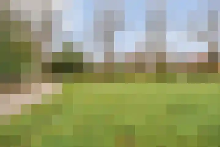 Nassaulaan 15 Emmen thumbnail 37