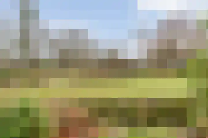 Nassaulaan 15 Emmen thumbnail 38