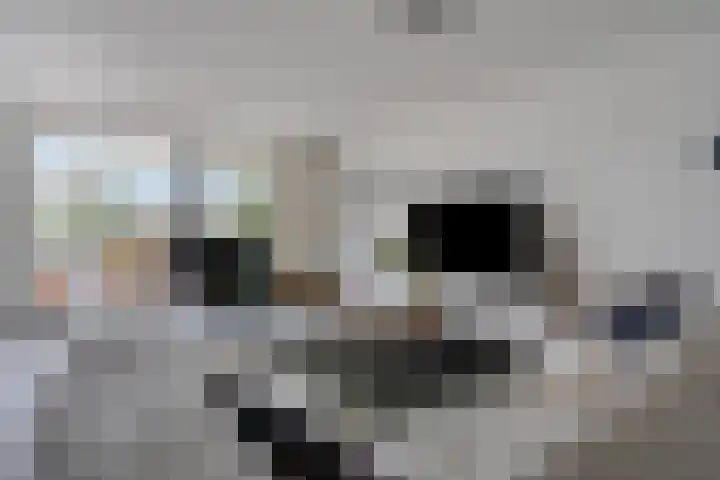 Nassaulaan 15 Emmen thumbnail 4
