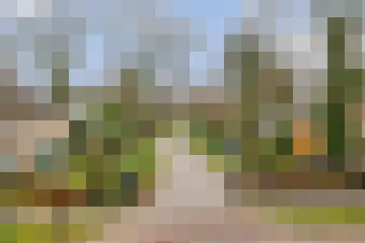 Nassaulaan 15 Emmen thumbnail 9