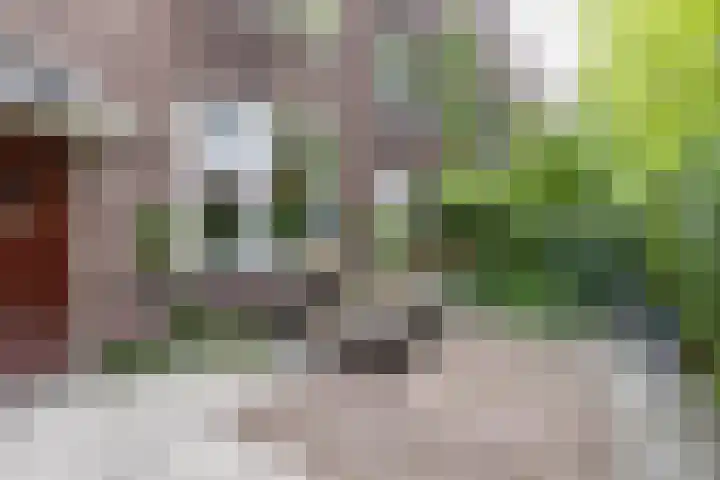 Nassaulaan 15 Groningen thumbnail 10
