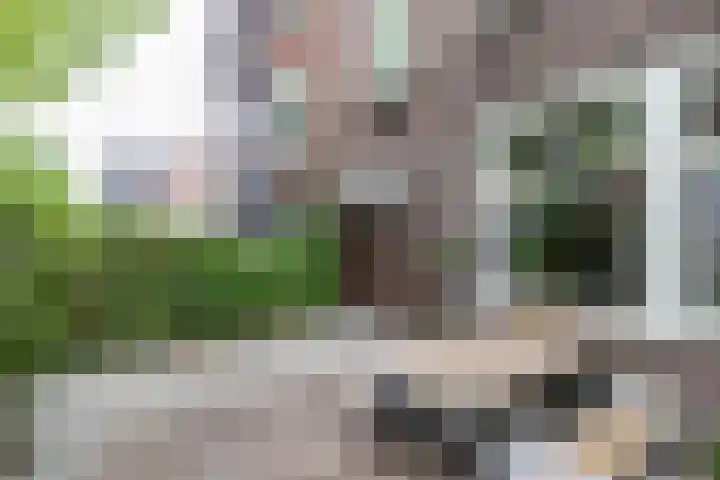 Nassaulaan 15 Groningen thumbnail 11