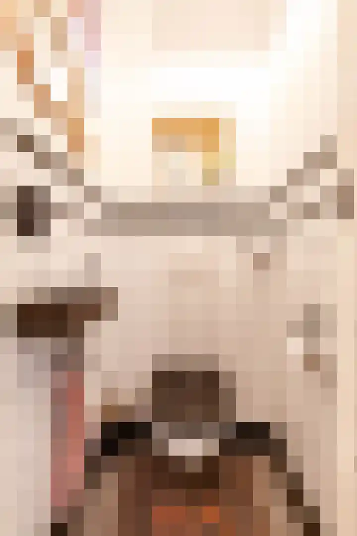 Nassaulaan 15 Groningen thumbnail 16