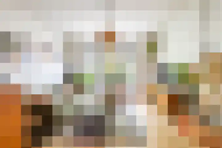 Nassaulaan 15 Groningen thumbnail 18