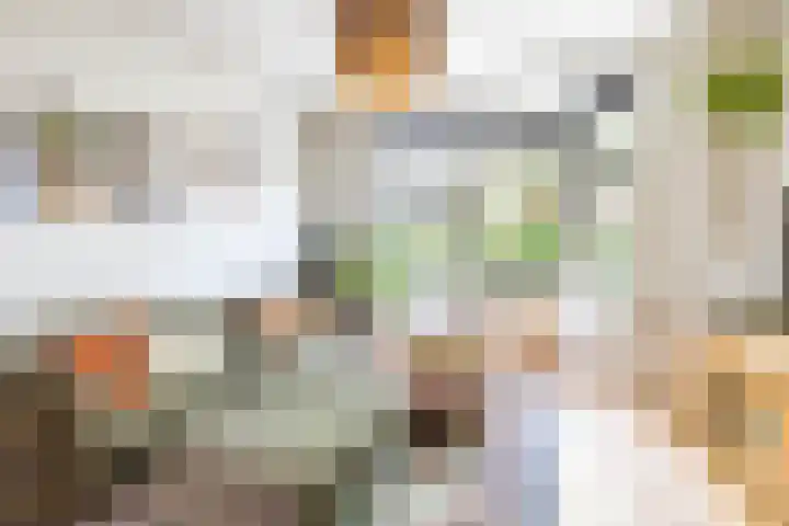 Nassaulaan 15 Groningen thumbnail 19