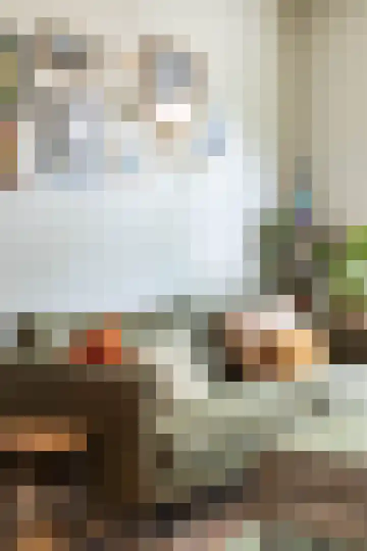 Nassaulaan 15 Groningen thumbnail 20