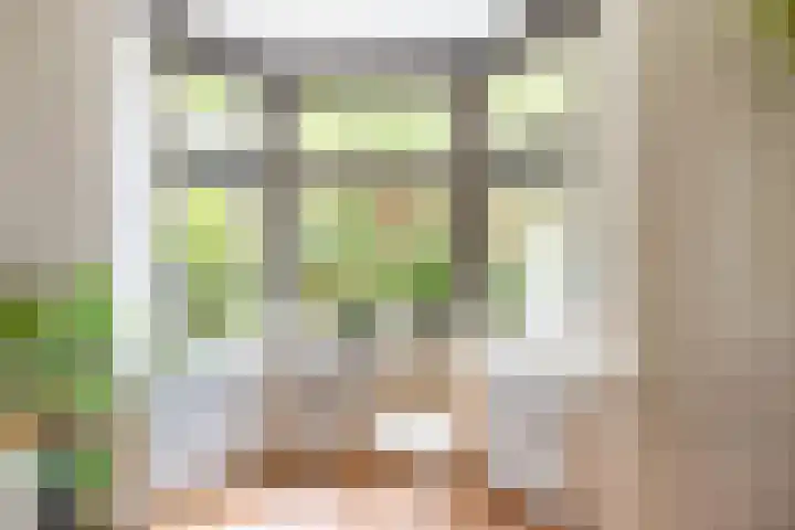 Nassaulaan 15 Groningen thumbnail 21