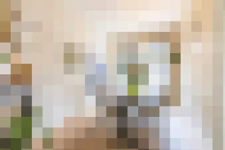 Nassaulaan 15 Groningen thumbnail 24