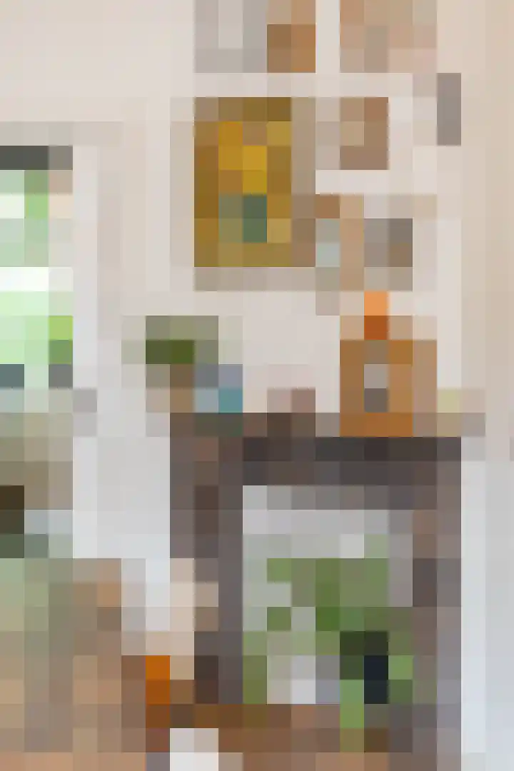 Nassaulaan 15 Groningen thumbnail 30
