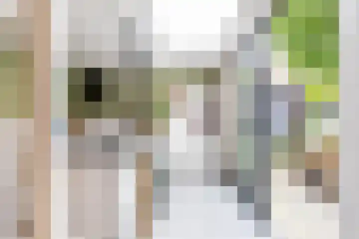 Nassaulaan 15 Groningen thumbnail 32