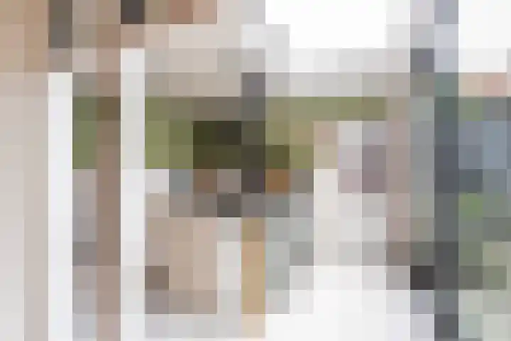 Nassaulaan 15 Groningen thumbnail 33
