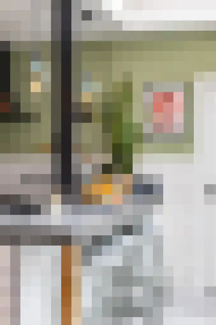 Nassaulaan 15 Groningen thumbnail 34
