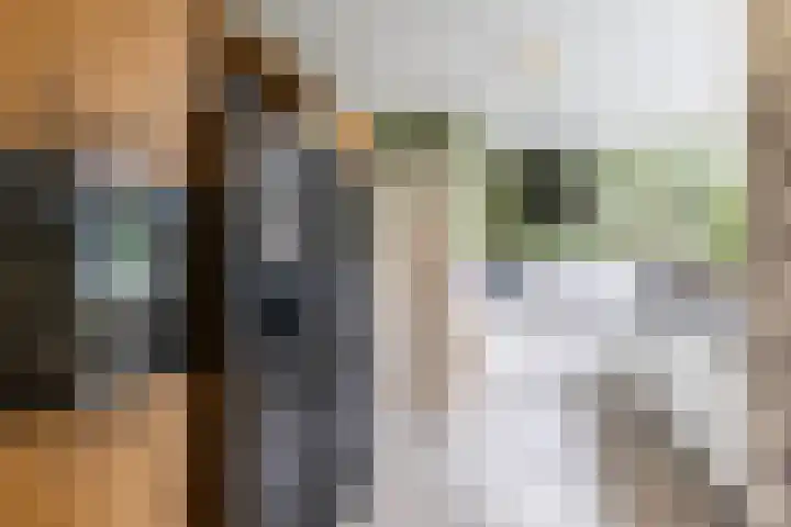 Nassaulaan 15 Groningen thumbnail 37